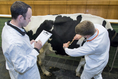 science camp - Eine Woche Probestudieren