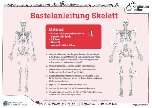 Plakat Bastelanleitung Skelett
