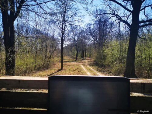 ein Waldweg