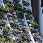eine Häuserfassade mit vielen begrünten Balkonen