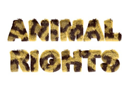 Schriftzug "Animal Rights"