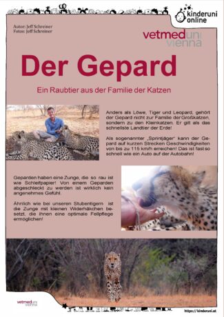 Plakat "Der Gepard"