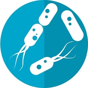 Bakterien (Symbolbild)