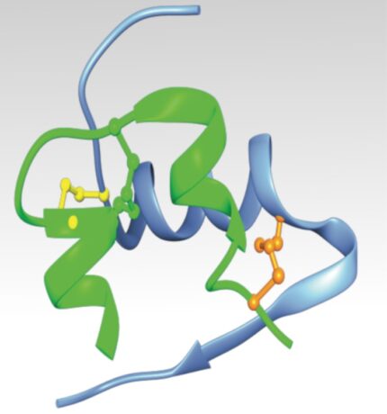 Zeichnung eines gefalteten Proteins