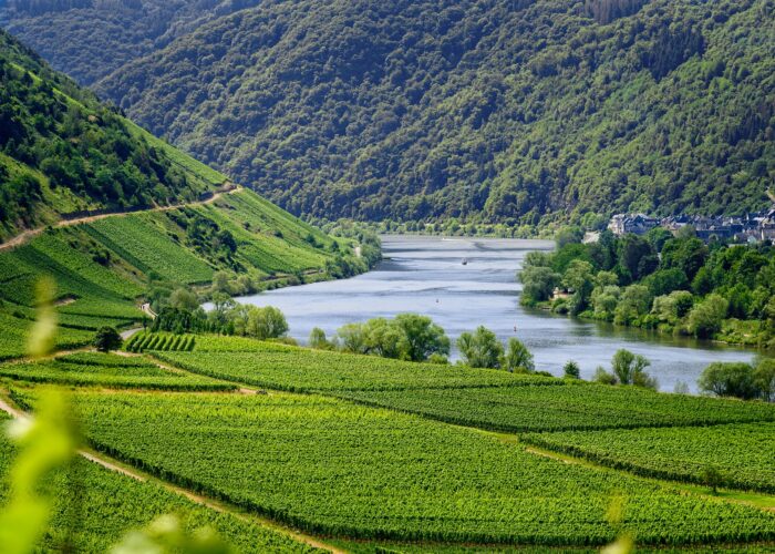 eine Flusslandschaft