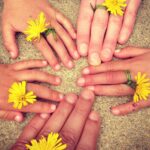 Hände mit Ringen aus Löwenzahnblüten