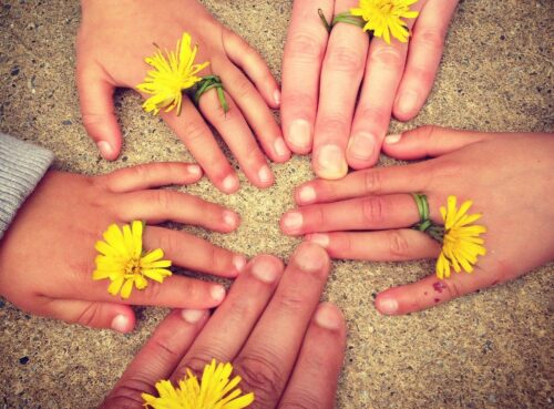 Hände mit Ringen aus Löwenzahnblüten