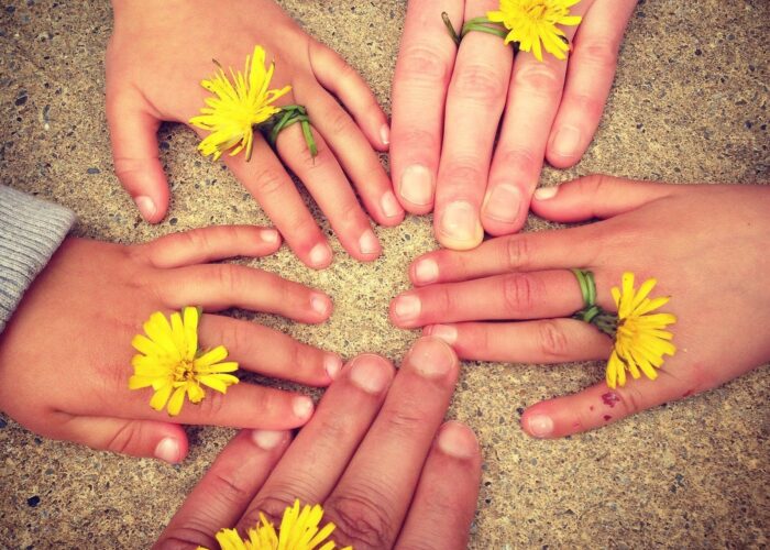 Hände mit Ringen aus Löwenzahnblüten