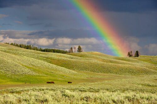 ein Regenbogen