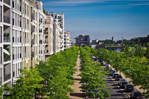 Viele Bäume in einer Stadt, links eine Hausfassade