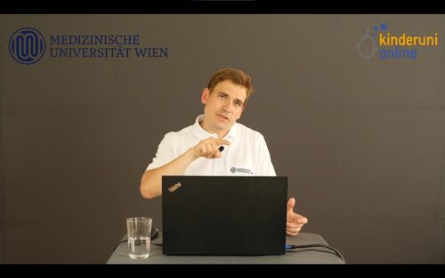 Screenshot Livestream der Lehrveranstaltung