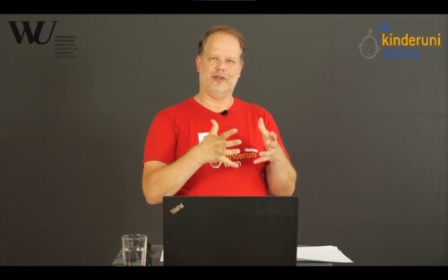 Screenshot Livestream der Lehrveranstaltung