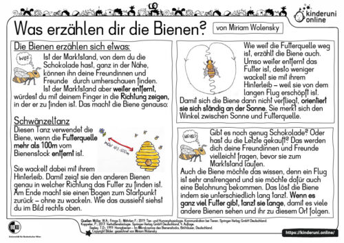 Folie: Was erzählen dir die Bienen?