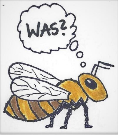 Zeichnung einer Biene mit Gedankenblase "Was?"