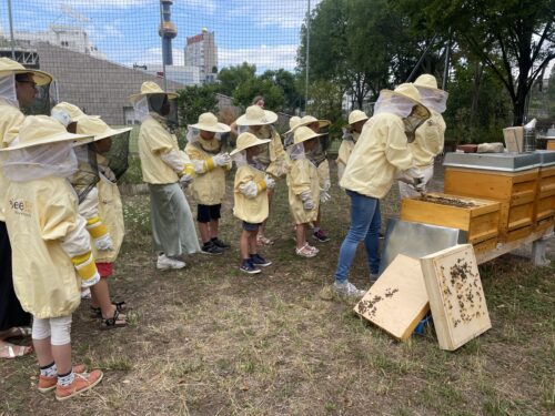 Bienenstock
