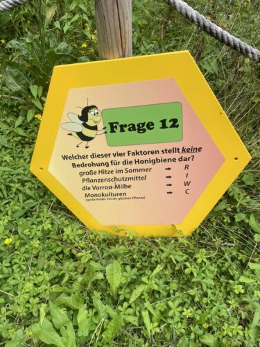 Bienen Quiz