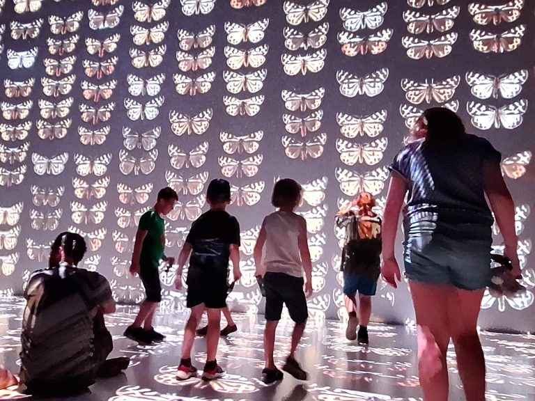 Kinder vor einer riesigen Projektion mit Schmetterlingen