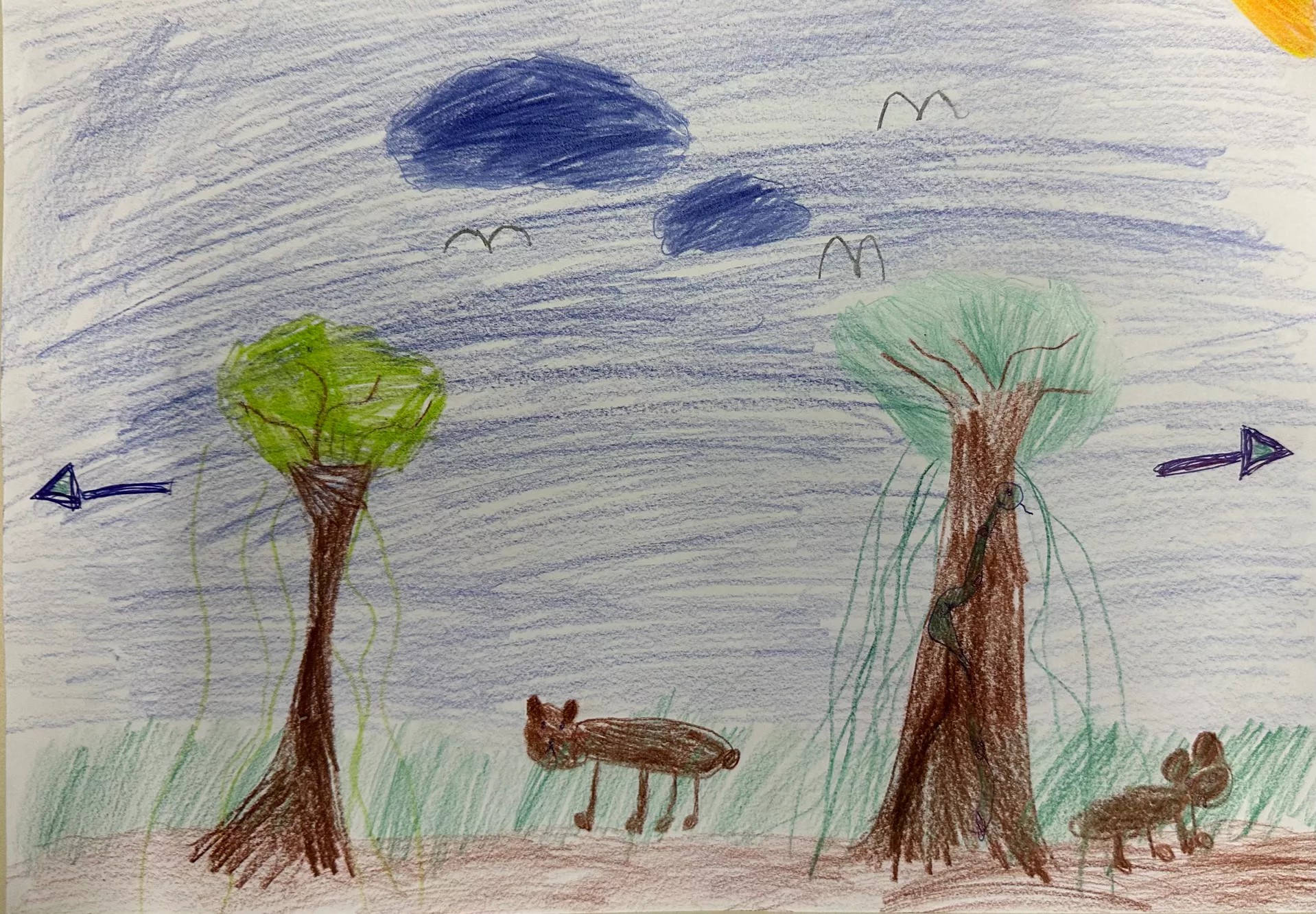 Eine Zeichnung, auf der man zwei Bäume, Wiese, Tiere, Himmel, Wolken und die Sonne sieht