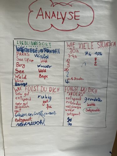 Analyse der Umfrage auf Plakat