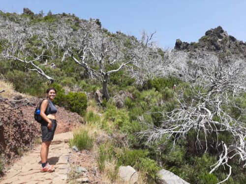 Die Forscherin Rym Nouioua steht auf der Insel Madeira auf einem Weg zwischen grünen Sträuchern und verbrannten Bäumen.