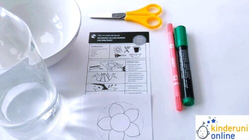Eine Schüssel, eine Wasserkaraffe, eine Schere, zwei Farbstifte, eine Schnittvorlage, eine Experimentieranleitung