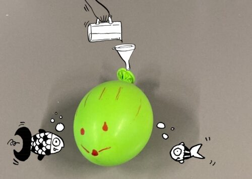 selbstgebastelter Kugelfisch mit Fischkollegen