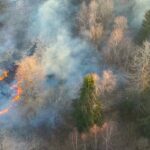 Eine Luftansicht von einem Bodenbrand in einem trockenen Mischwald