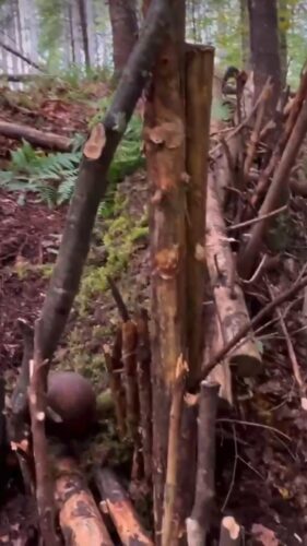 große Holzkugel, die im Wald über eine Schiene aus Holz rollt
