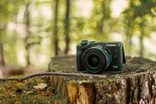 Fotokamera im Wald
