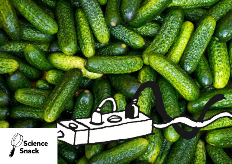 © Pixabay / Lukas Jancicka