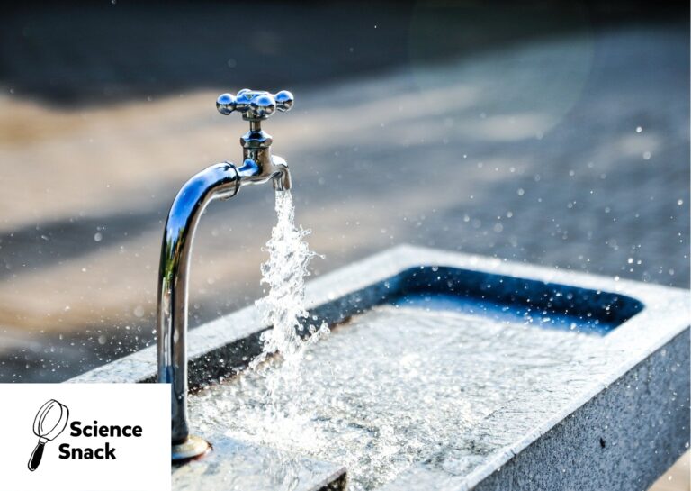 © Pixabay / Jonas Kim