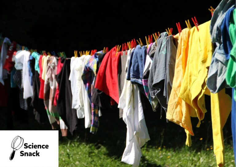 © Pixabay / Michael Püngel