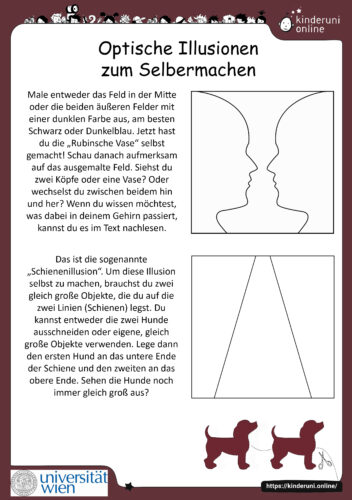 Optische Illusionen zum Selbermachen