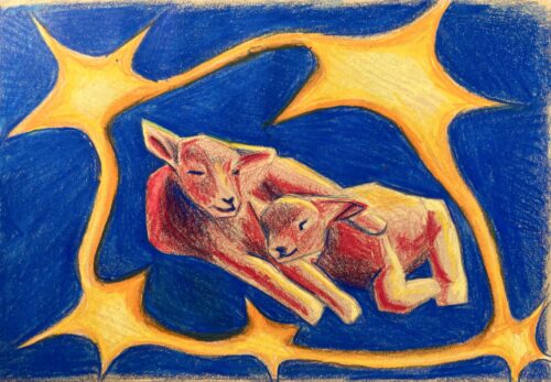 zwei Schäfchen, die zwischen Sternen liegen