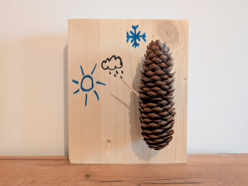Zapfen auf Holzblock, mit verschiedenen Wettersymbolen: Sonne, Regen, Schnee