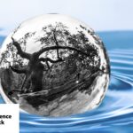 Kugel im Wasser, in der sich ein Baum spiegelt