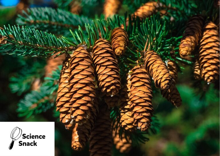 © Pixabay / Ascyrafft Adnan