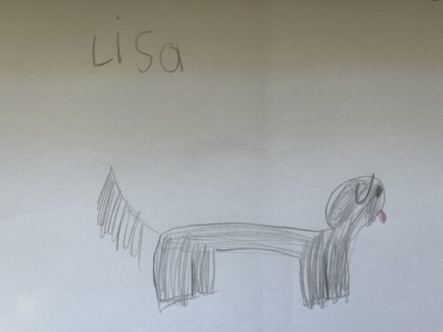 Ein Hund und der Name "Lisa"