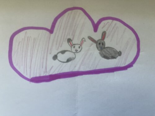zwei Kaninchen