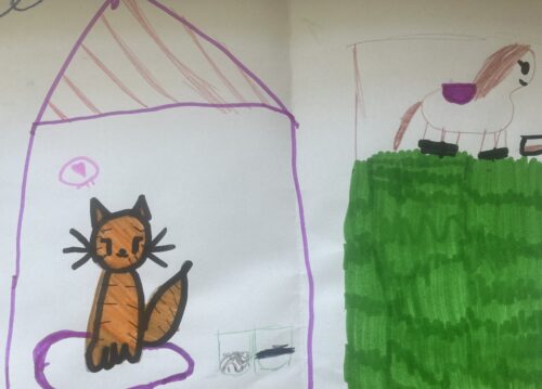 Katze und Pferd
